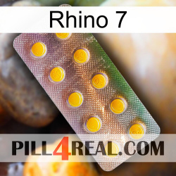 Rhino 7